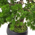 50cm Artificial Luxury Pine Bonsai Tree with Leaf Detail