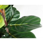 120cm Artificial Fiddle Fig Tree