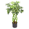 70cm Artificial Plant Bonsai Bush Twisted Stem Golden Capella with Arboricola Detail