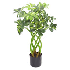 70cm Artificial Plant Bonsai Bush Twisted Stem Golden Capella with Arboricola Detail