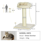 Indoor Cat Tree - Sisal Scratching Post, Spacious Kitten Bed - Cream