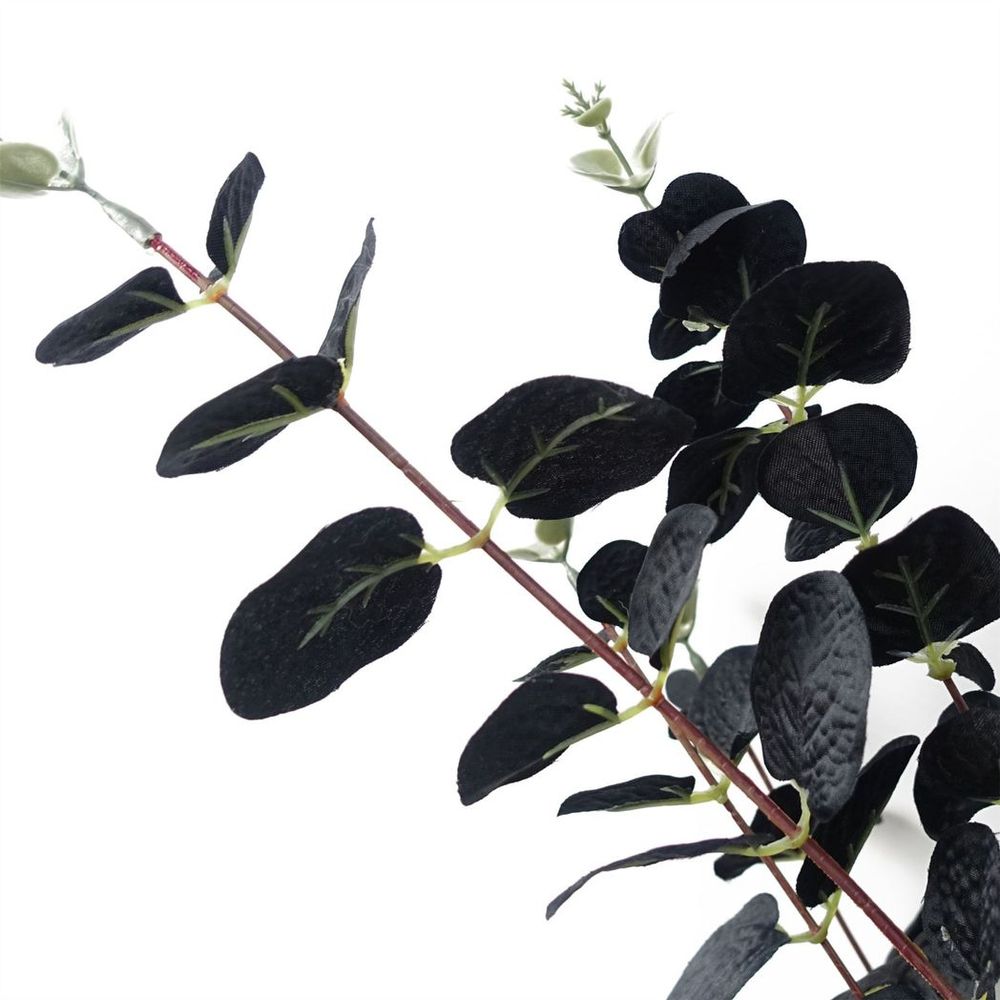 80cm Black Eucalyptus Foliage Stems - Pack of 6