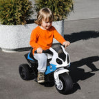 6V BMW S1000RR Licensed Electric Motorbike for Kids