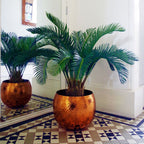 80cm Artificial Cycas Palm Plant - Lifelike Tropical Tree