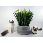 22cm x 37cm Large Grey Gliese Embossed Planter in Grey