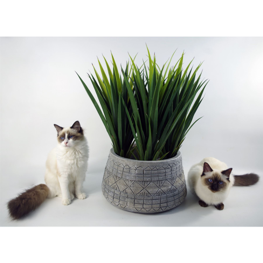 22cm x 37cm Large Grey Gliese Embossed Planter in Grey