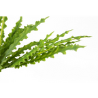 40cm Artificial Crocodile Fern Plant