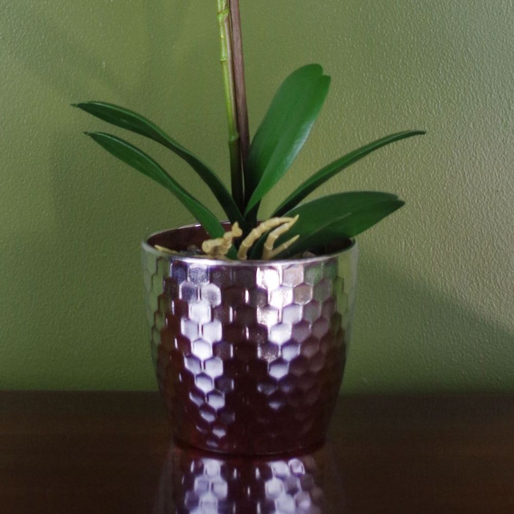 50cm Phalaenopsis Orchid Artificial - Light Pink Silver. Real touch leaves. Plastic decorative pot with fixed gravel topping