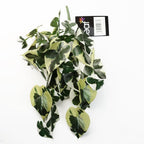Natural Looking 40cm Trailing Marble Pothos - Artificial Plant