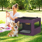 Pet Carrier for Everyday Use