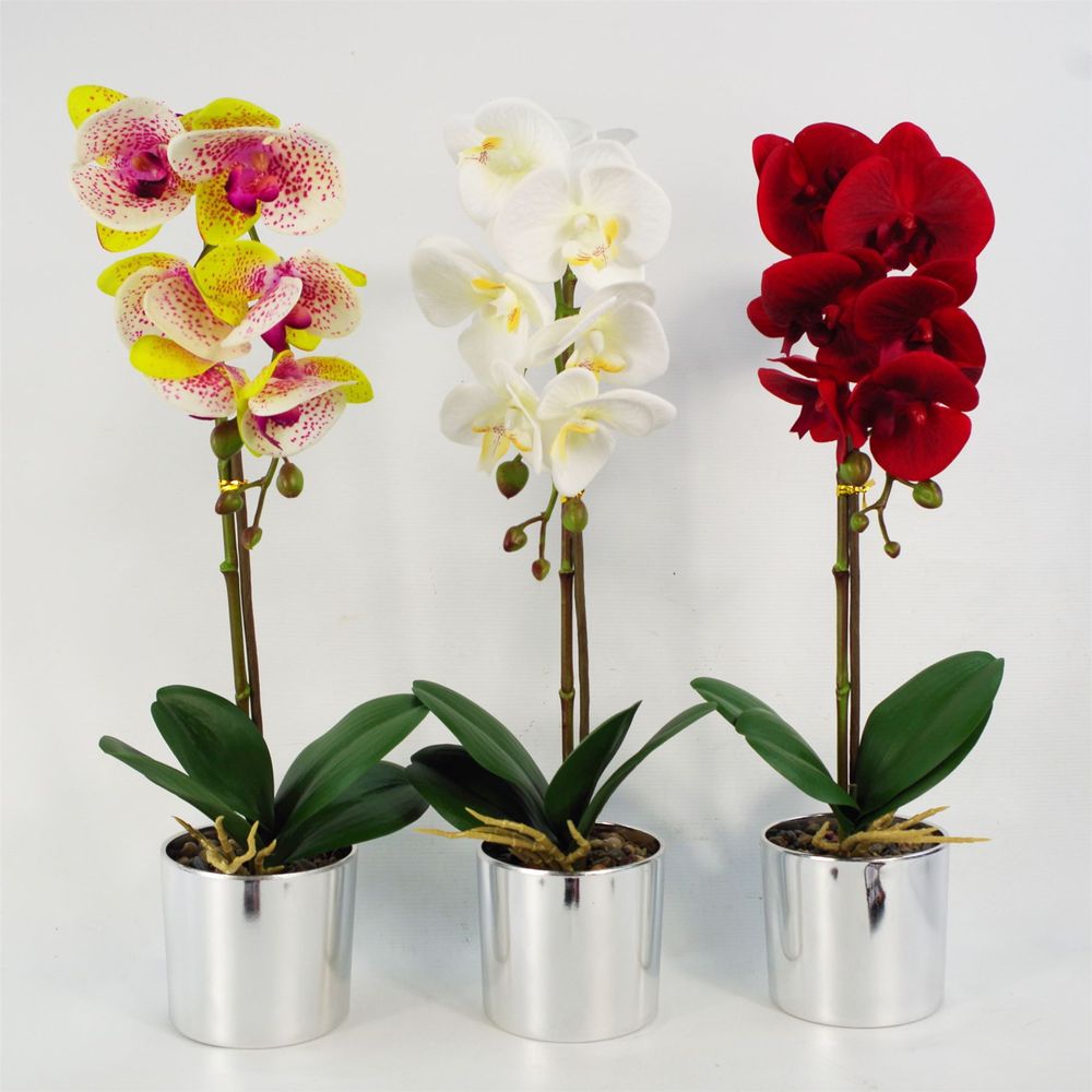 Red Orchid: Realistic, Silver Pot