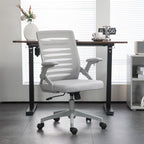 Mesh Office Chair Home Swivel Task Chair w/ Lumbar Support, Arm, Grey