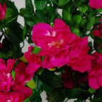 100cm Artificial Azalea Pink Flowers Potted Plant with Copper Metal Planter