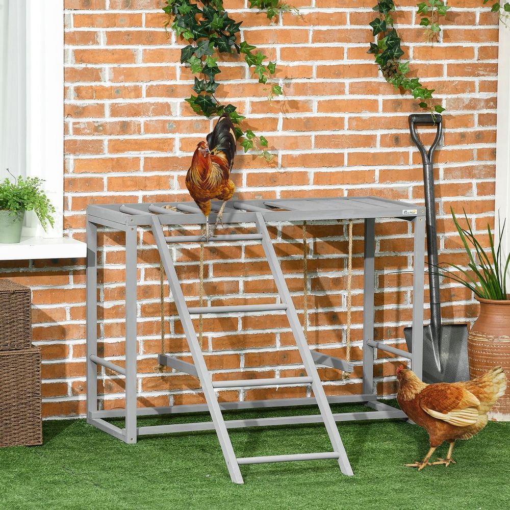 Chicken Activity Play Chicken Coop with Swing Set for 3-4 Birds, Grey