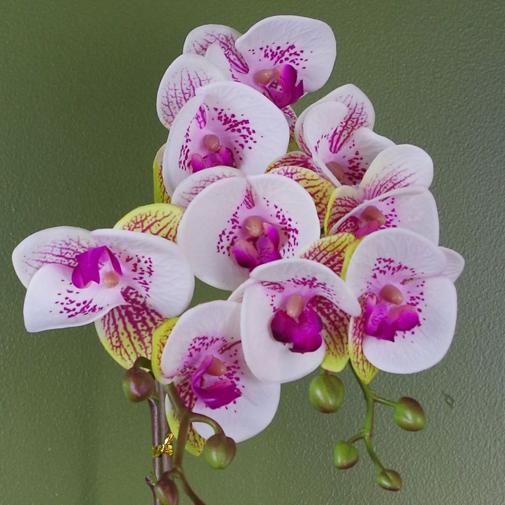 48cm Harlequin Orchid Artificial - Pink/Gold, Real Touch Leaves, Wired Stems
