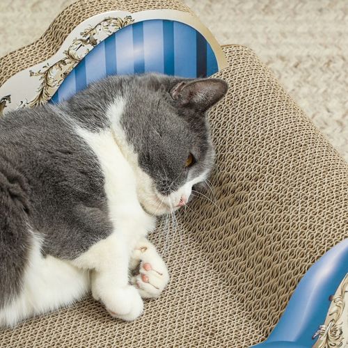 2 in1 Cat Scratcher with Catnip, Cardboard Lounge Bed, Blue
