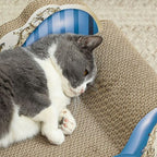 2 in1 Cat Scratcher with Catnip, Cardboard Lounge Bed, Blue