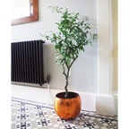 Stunning 120cm Artificial Olive Tree - Natural Style - Customizable