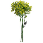 Pack of 6 x 55cm Gypsophila Yellow Stem