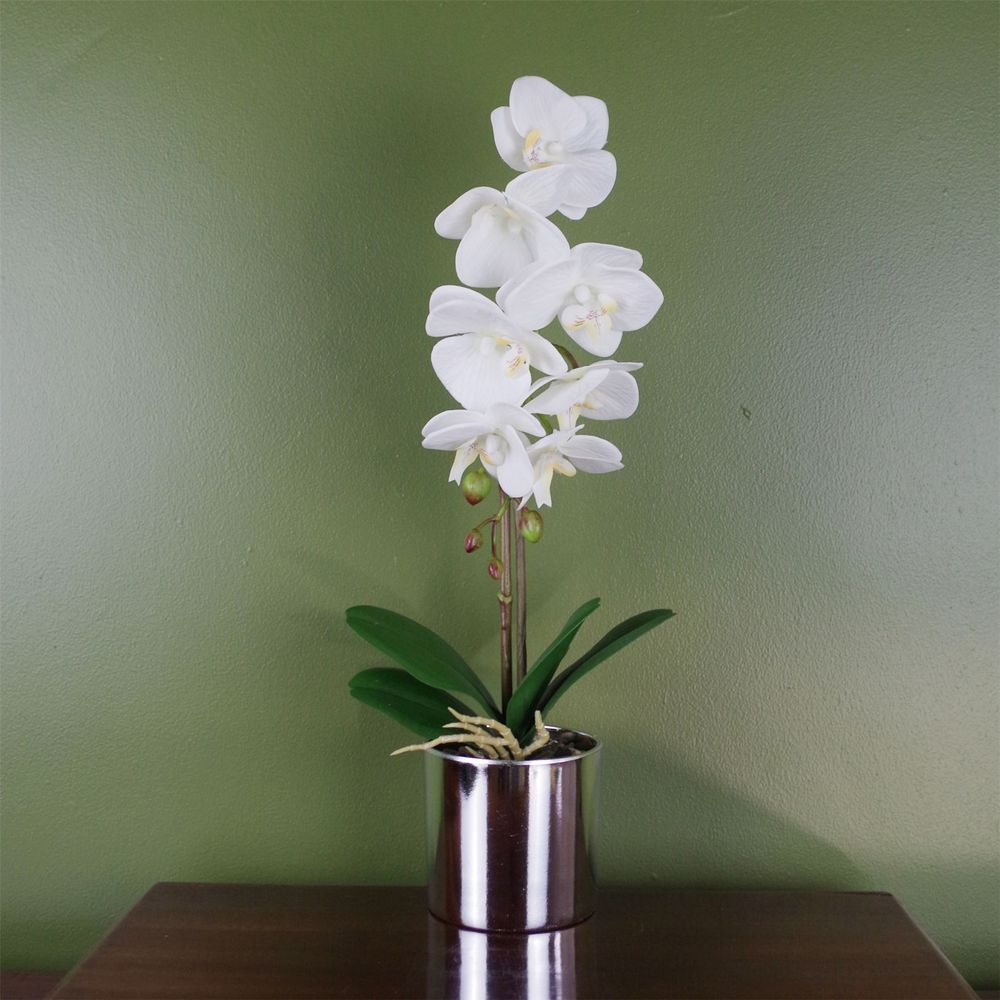 46cm Artificial Orchid White with Silver Pot
