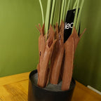150cm Large Artificial Areca Palm - Black Pot - Home Décor