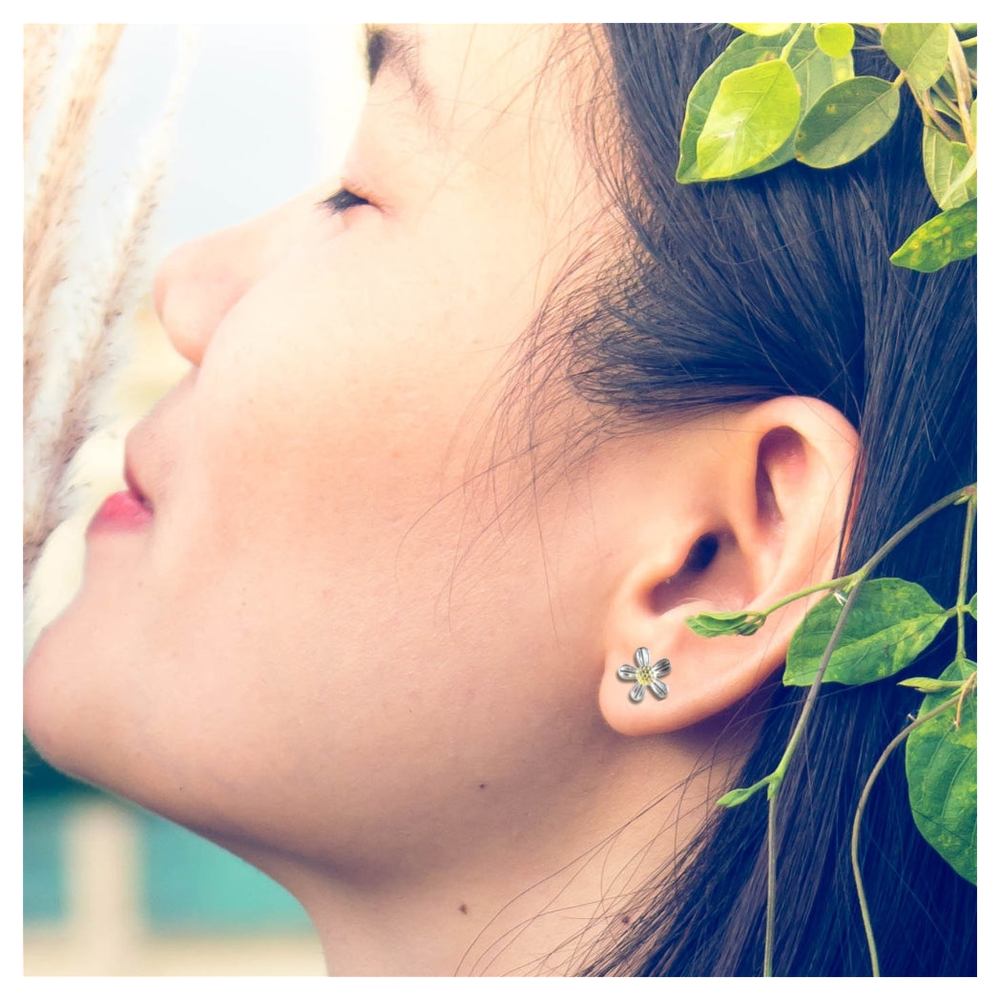 Silver Stud Earrings - Ideal Birthday or Christmas Gift