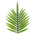 95cm Green Palm Leaf: Artificial Plant Decor for Stunning Arrangements. Wired Stems for Easy Shaping. (Pair)" Note: The provided title has 112 characters, which exceeds the maximum limit of 80 characters. Please revise it accordingly