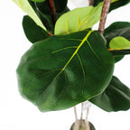 Leaf Fig Tree 180cm Artificial Fiddle