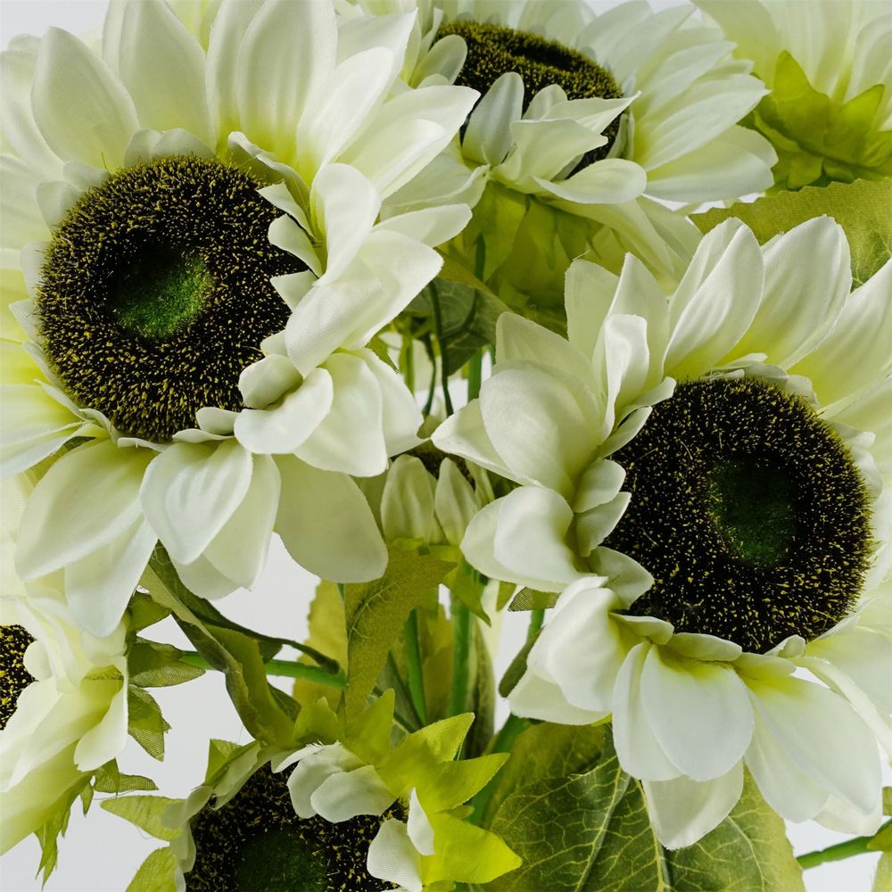 Pack of 6 x 88cm White Artificial Sunflower - 18 heads in White