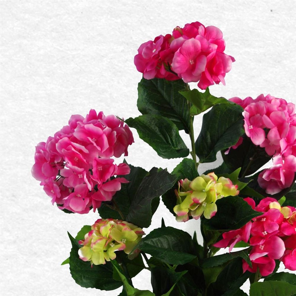 Realistic Pink Hydrangea Flowering Plant - Detailed - for Indoor Decor