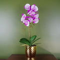 50cm Phalaenopsis Orchid Artificial - Purple / White - Gold Pot in White