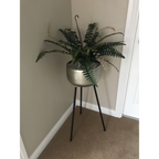 Realistic Artificial Boston Fern Plant - 60cm, Lifelike Faux Boston Fern