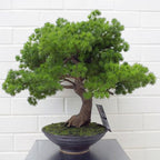 50cm Artificial Luxury Pine Bonsai Tree with Leaf Detail