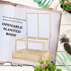 Outdoor Raised Garden Bed with Cold Frame Greenhouse and Openable Top
