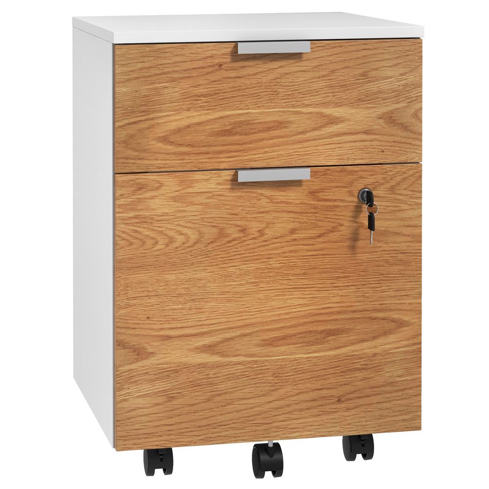 2 Drawer Filing Cabinet with Adjustable Hanging Bars for A4 and Letter
