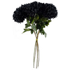 6x Black XL Chrysanthemum - Silk Petals - 75cm