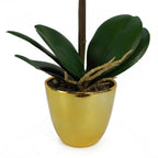48cm Harlequin Orchid Artificial - Pink with Gold Pot
