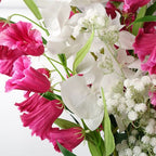 100cm Artificial Phalaenopsis Orchid White Stem