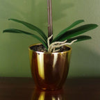 46cm Artificial Orchid - Dark Pink & Gold - Real Touch Leaves & Flowers - Plastic Decorative Pot - Craftsmanship
