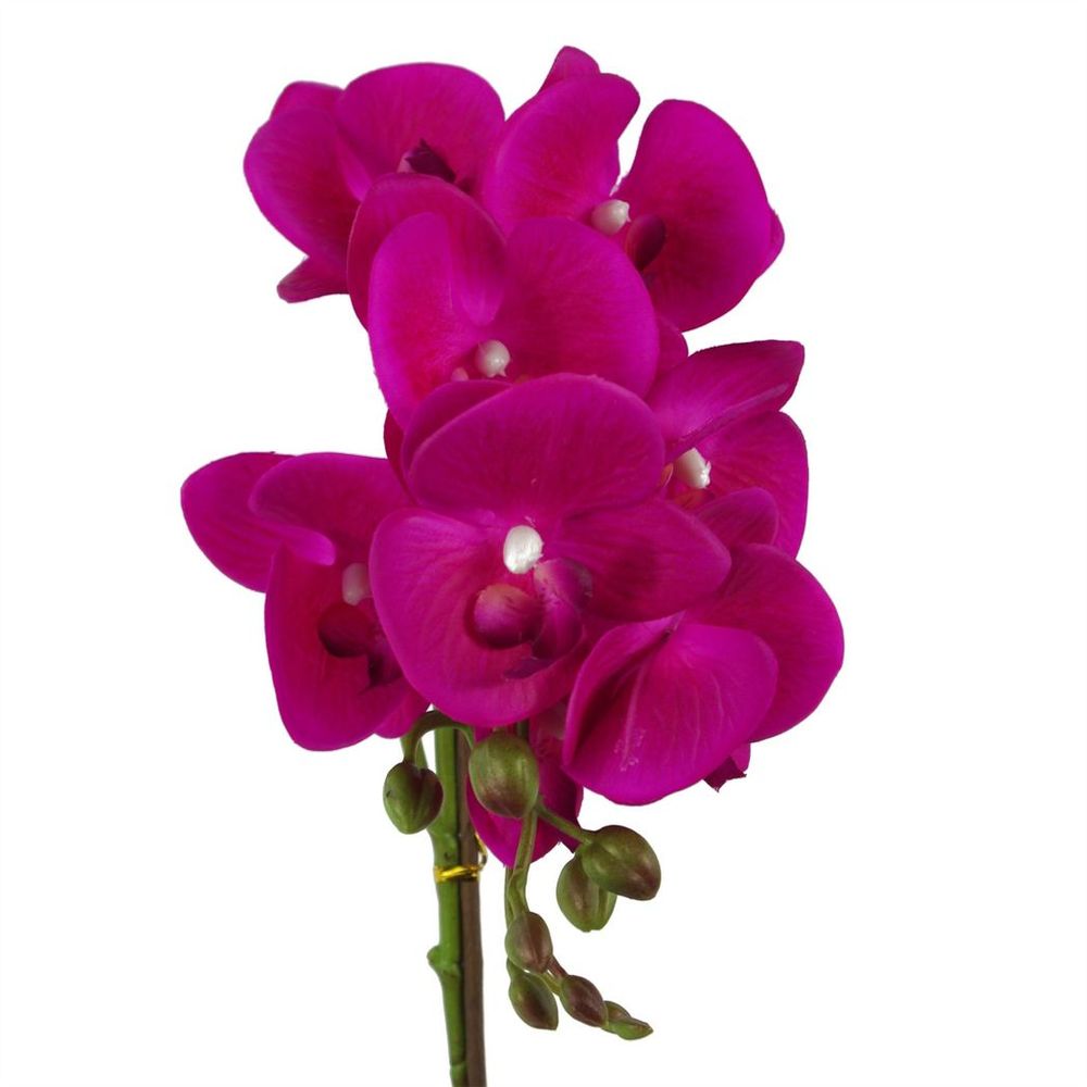 50cm Phalaenopsis Orchid Artificial - Dark Pink Silver in Silver