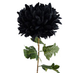 75cm Extra Large Chrysanthemum - Black