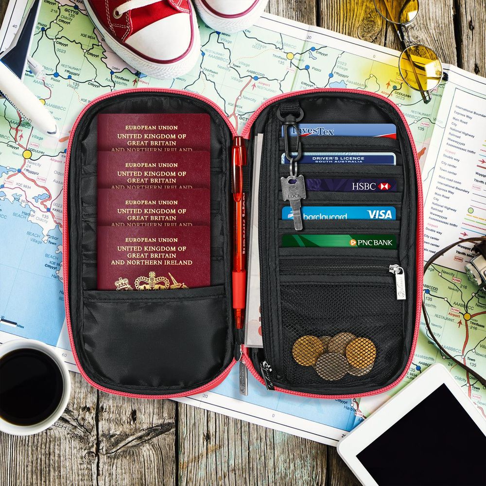 Pink Deluxe Passport Org - RFID, Water Resistant, Gift-Worthy - Travel Companion!
