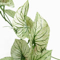 30cm Artificial Trailing Plant Realistic Variegated Potted Alocasia