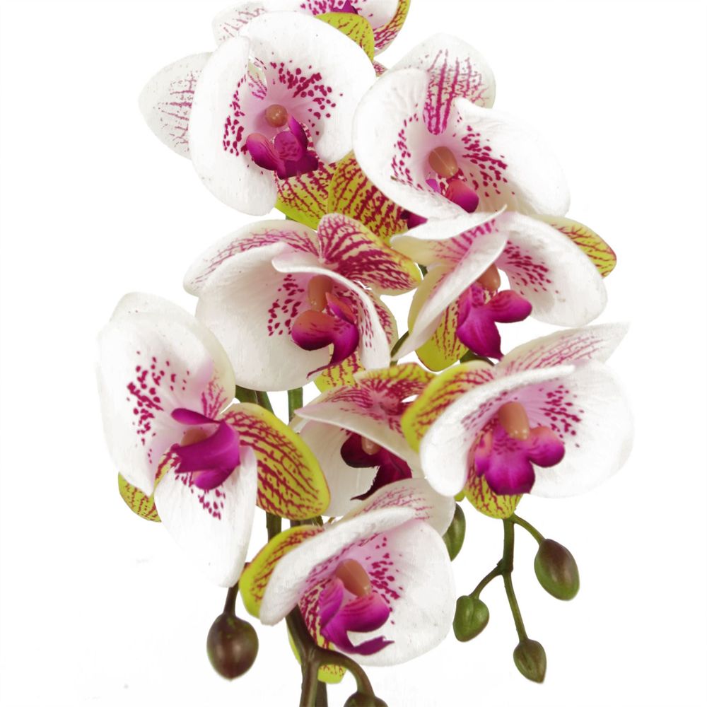 48cm Harlequin Orchid Artificial - Pink with Gold Pot