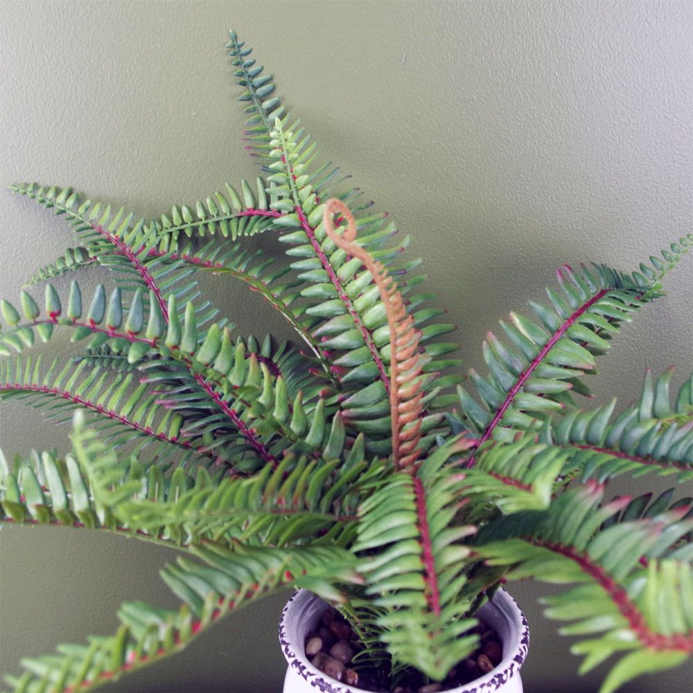 40cm Artificial Bushy Fern Potted in Decorative Planter with Highly Detail