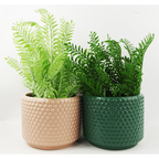 Pink Peach Raised Dots Ceramic Plant Pot: 15x15x12.5cm, Versatile & Luxurious, for Indoor Decor