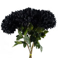6x Black XL Chrysanthemum - Silk Petals - 75cm