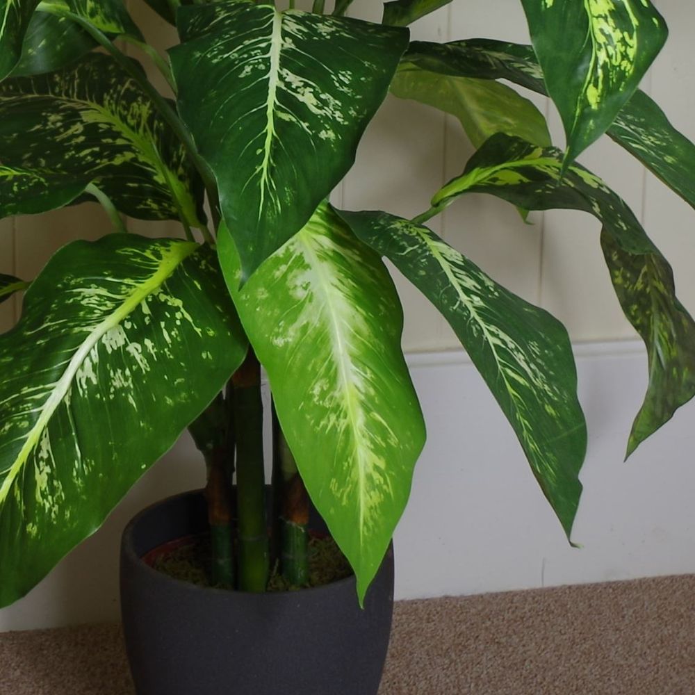 100cm Large Fox's Aglaonema Tree - Artificial Plant with Silver Metal Planter