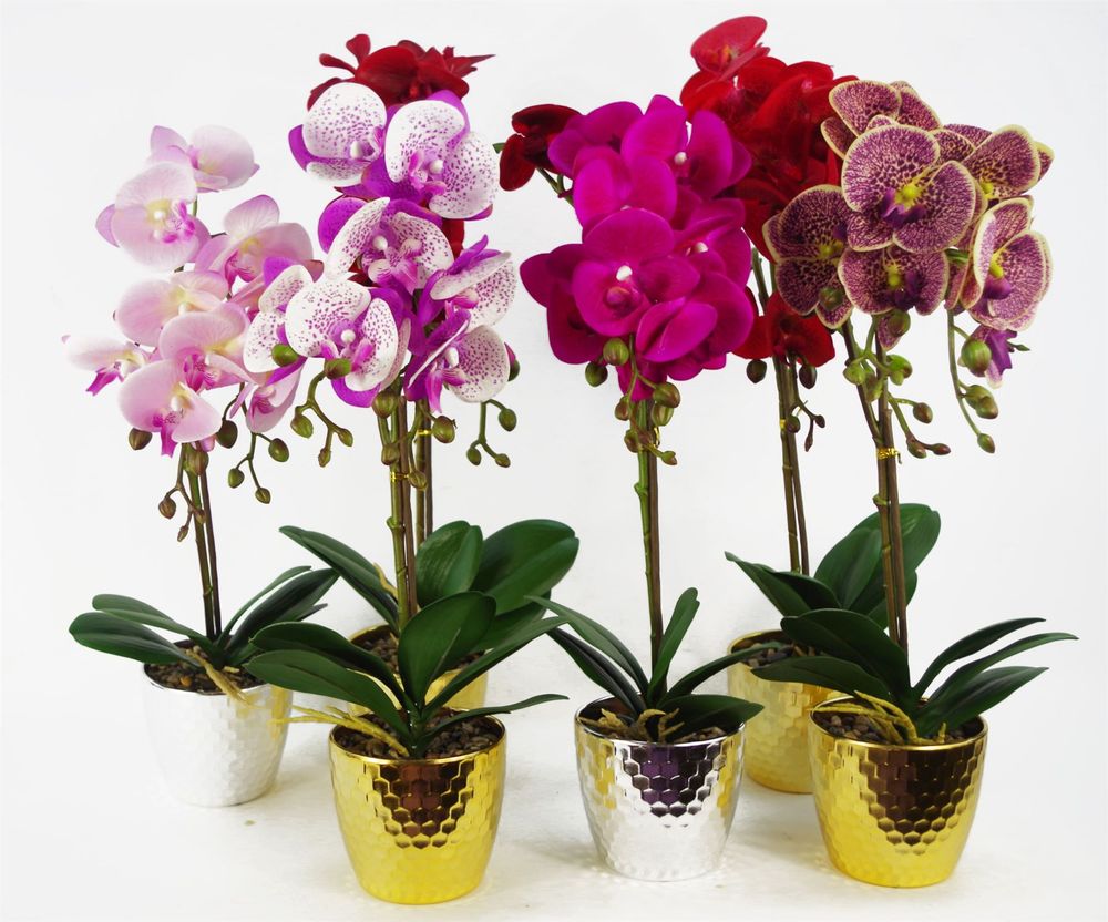 50cm Phalaenopsis Orchid Artificial - Red Leopard - Gold Pot in Gold