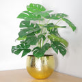 Artificial Monstera Plant - 60cm - Golden Metal Planter - Stylish Design